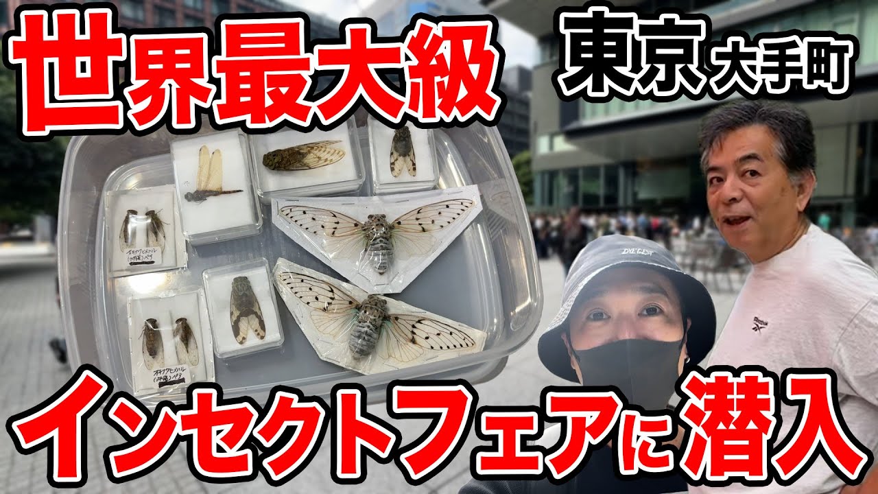 Insects] We went undercover at one of the world's largest insect