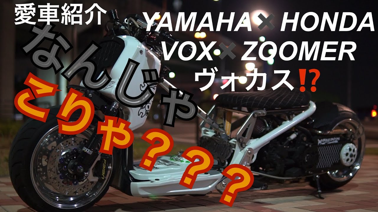 Taki Yoake ズーマー Isn't this a Zoomer? What is this? It's a Vocus (Zoomer x Box