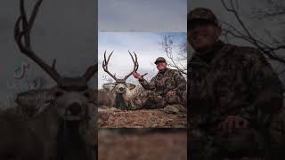 9-Yard Archery Kill Shot on Mule Deer!