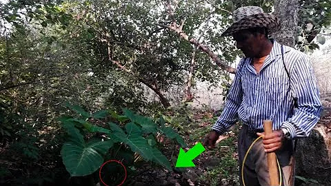 Como achar um tesouro perdido?