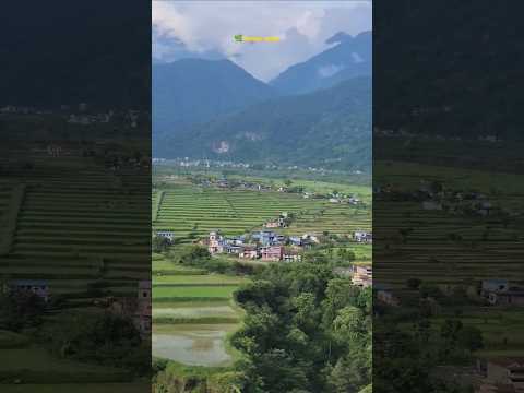 sundar assar mahina 💚🌿 #nepal #travel #rice #explore #nature #love #beautiful #shorts #explorenepal