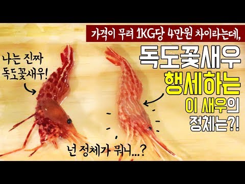 독도꽃새우 행세하며 비싸게팔리는 이새우! 절대 독도새우 아닙니다~! Be careful when choosing shrimp