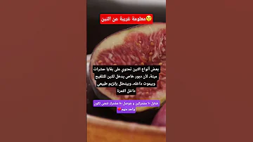 معلومة غريبة عن التين تين معلومات محتوى تعليمي 