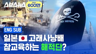 Environmental Pirate, "Sea Shepherd", rages at Japan for resuming whale hunting / SUBUSU NEWS