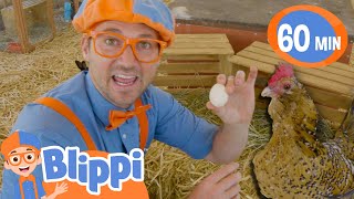 Blippi Chicken Song | 1 Hour of Blippi at the Farm | Moonbug Kids - Farm Animals