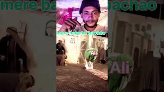 Taboot Imam Ali a.s Lucknow | 21 ramzan 2025 | 21 ramzan ka taboot #imamali #yaali #21ramzan
