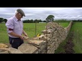 Patsy McInaw - Dry Stone Wall Building