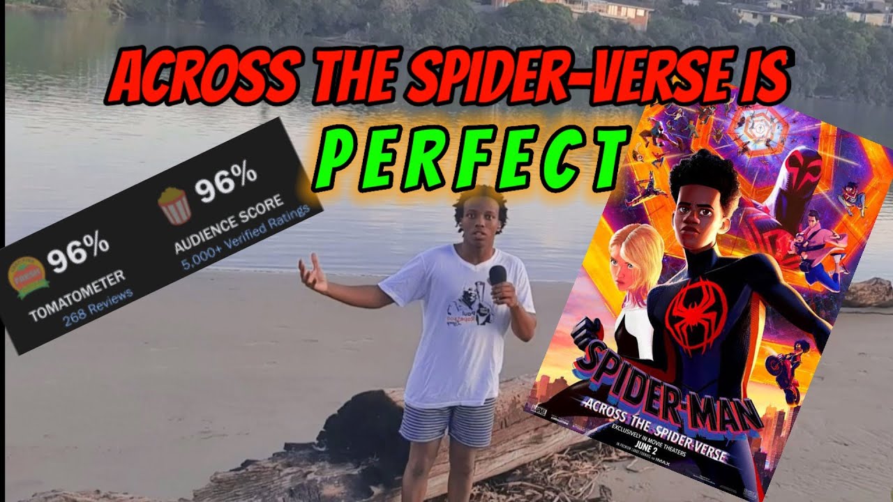South African reviews Spider Man across the Spider verse in public