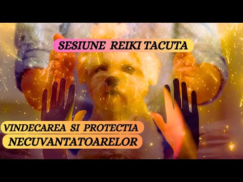 SESIUNE REIKI TACUTA