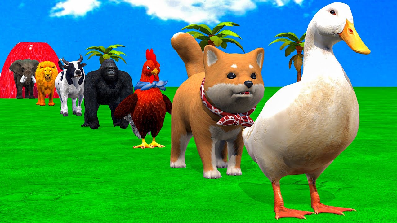 Long Slide Game With Cow Elephant Gorilla Hippopotamus Tiger 3d Animal Game Funny 3d Animals