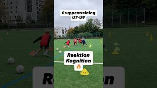 Reaktion und Kognition 🔥#gruppentraining #fussballtraining #reaktion #kognition #kindertraining