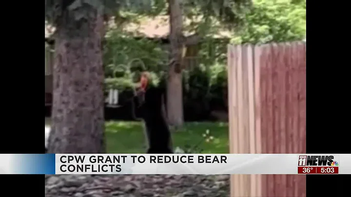Colorado Parks and Wildlife offers grants to reduce human-bear conflicts