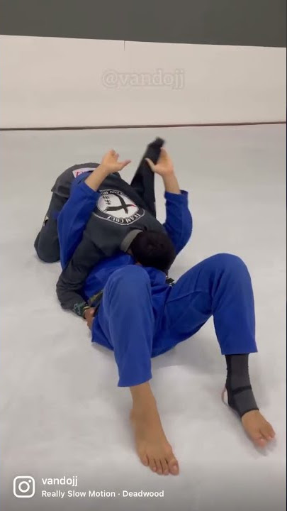 Saída do norte-Sul com finalização jiujitsu