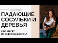 Падающие сосульки, глыбы снега, деревья во дворе МКД - кто отвечает?
