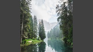 Echoes of the Rapids River's Tale