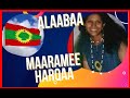 Maaramee harqaa kaasaa  new oromo music  alaabaa oromoo  oromo pride