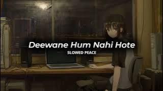 Deewane Hum Nahi Hote (Perfect Slowed) | Reverb (Bonus)