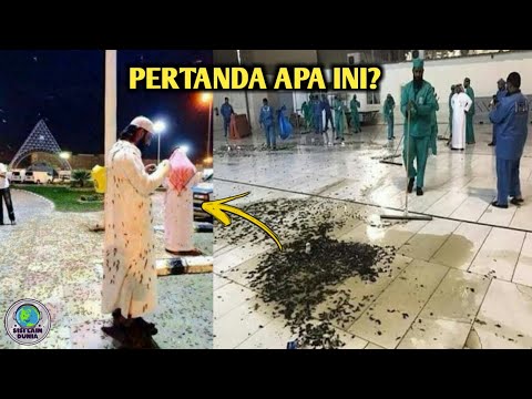 Menjelang Hari Raya, Ribuan Makhluk Hitam Tiba² Muncul di Mekkah! Kenapa ini ?