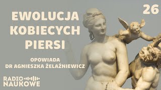 Piersi powstały, by kusić mężczyzn? O ewolucji biustu samic Homo sapiens | dr Agnieszka Żelaźniewicz