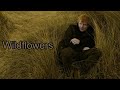 Ed Sheeran Wildflowers