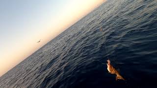 RasBanas-Redsea fishing trip short video رحله صيد في البحر الاحمر من حماطة الي رأس بناس-فيديو قصير