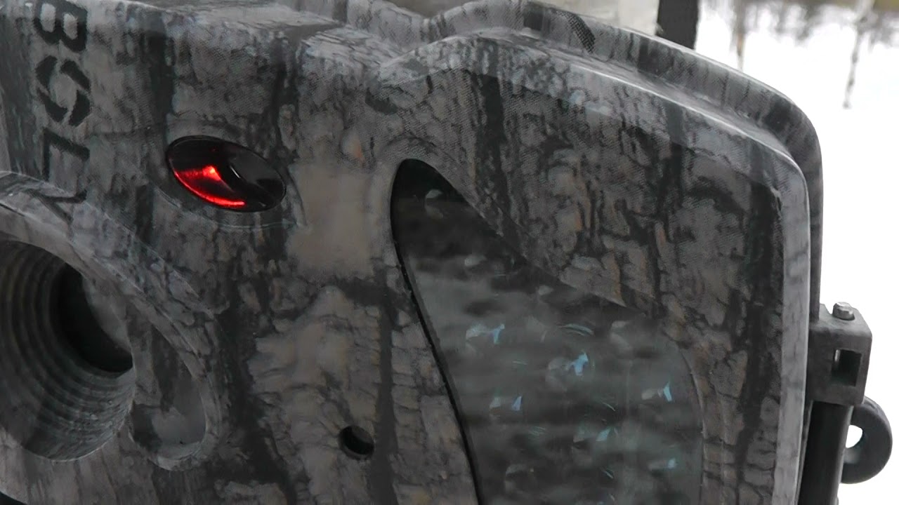 установка фотоловушки BolyGuard