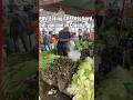POV: Eating GREEN is hard, but you live in China...