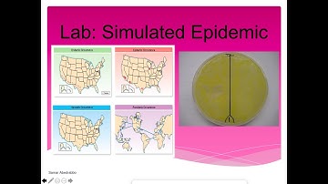 Simulated Epidemic Lab