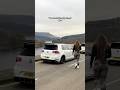 Pov: you’re a girl obsessed with cars
