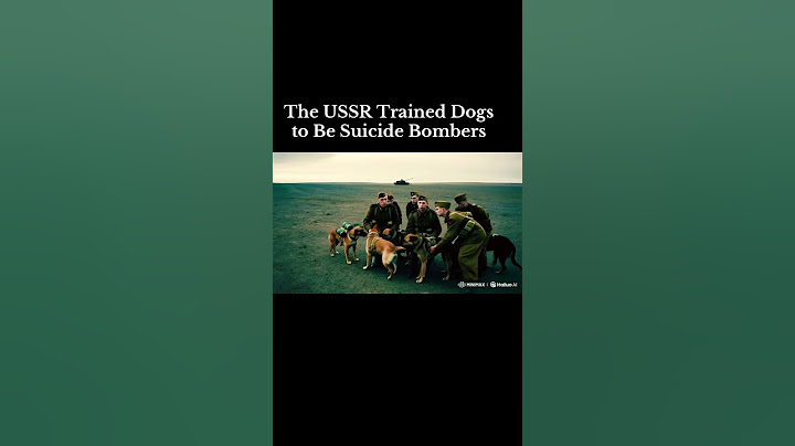 #speakdog The Soviets trained dogs with bombs strapped to them. Most failed—or ran the wrong way.