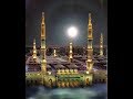 habib allah rasool allah || islamic whatsapp status video 2019 || Good Morning status Whatsapp Status Video Download Free