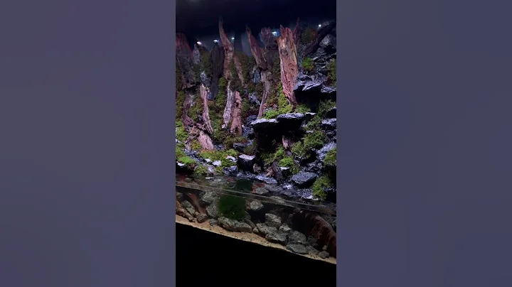 Big Paludarium 6 x 2 x 4ft (H) waterfall installed - bring natural moss waterfall in your home