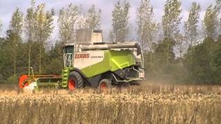 Claas Lexion 570 & 580+