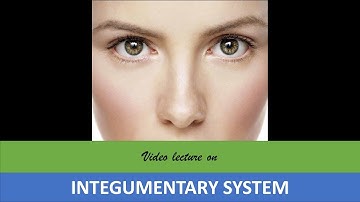 Integumentary system. Prof. Dr. Md. Ashfaqur Rahman