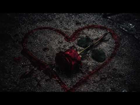 Trapper – evoL (Official Audio) (prod. noizy)