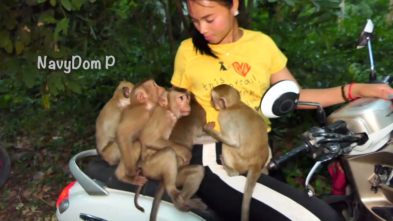 Sovana Koca Jerry Jana follow  Konthea & ride motorbike with her, they don't want KT to return home