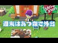 「あつまれ どうぶつの森」で外出する週末