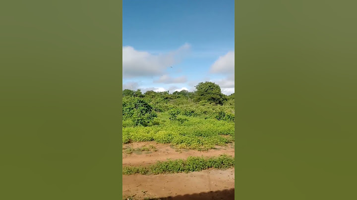 VISÃO QUE TENHO AO SAIR NA PORTA DA FRENTE DA MINHA CASA. 🏡