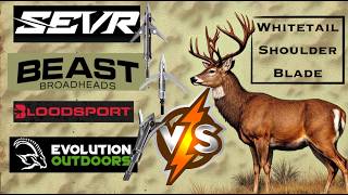 Hybrid &amp; Cut on Contact Broadheads (Beast, Sevr, Whitetail Fury) VS. Whitetail Shoulder Blade