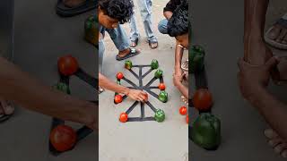Big capsicum 🫑vs Big Tomato very interesting Village funygame || viralpost || funygame