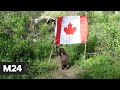 Бобриха украла флаг Канады - Москва 24