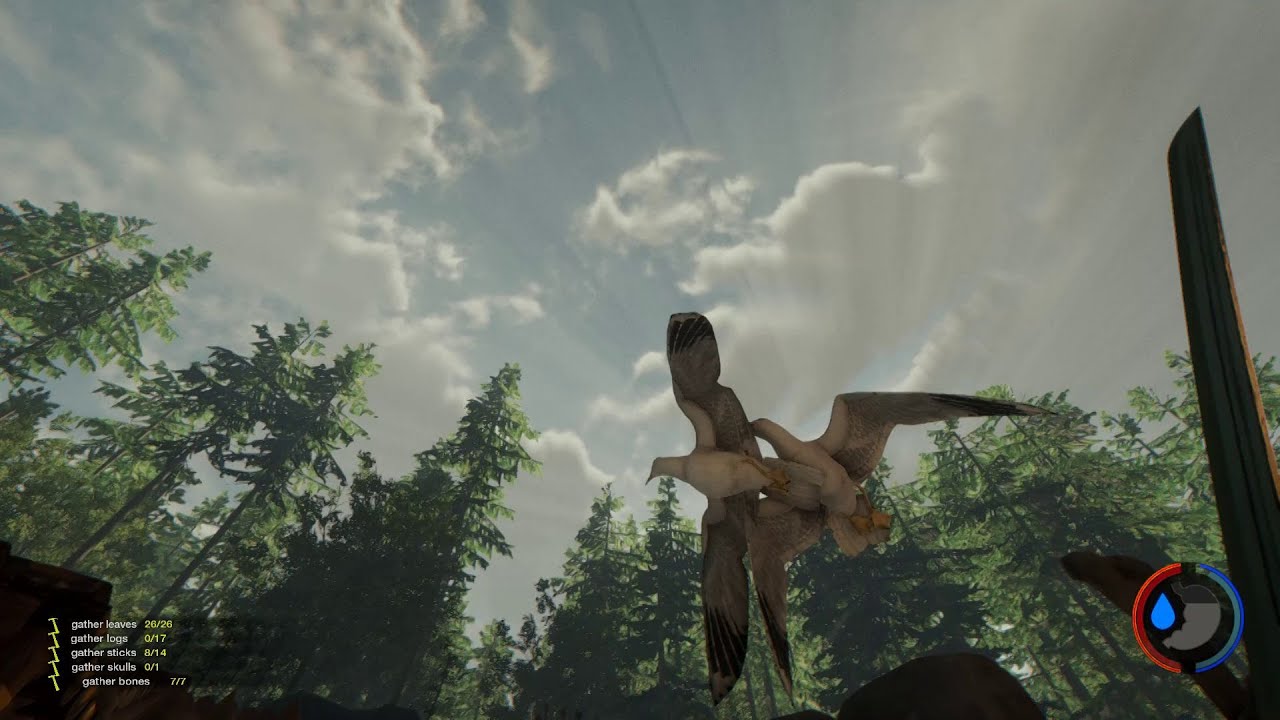 The Forest - Брачные игры чаек - №62