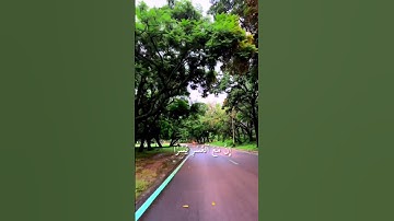 سورة الم نشرح لك صدرك راحه نفسيه🎧🕊️أجمل حالات واتس تلاوه خاشعه مؤثره 𝙌𝙪𝙧𝙖𝙣 𝙎𝙩𝙖𝙩𝙪𝙨❤