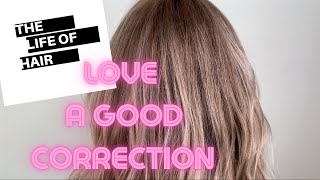 Reverse Balayage Technique | Colour Correction | Toning Hair