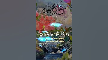 تلاوة خاشعة عطرة مباركة جميلة عذبة للشيخ ماهر المعيقلي ماتيسر من سورة الأعلى