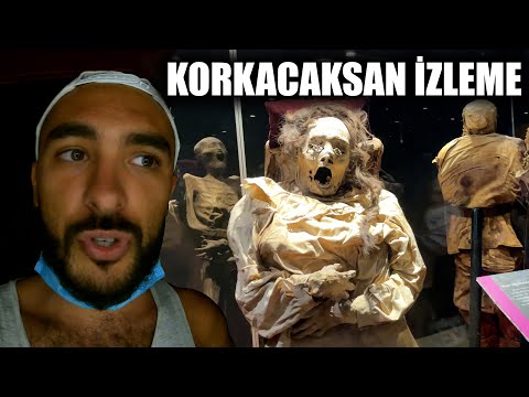 Video: Las cruces-in zooparkı varmı?