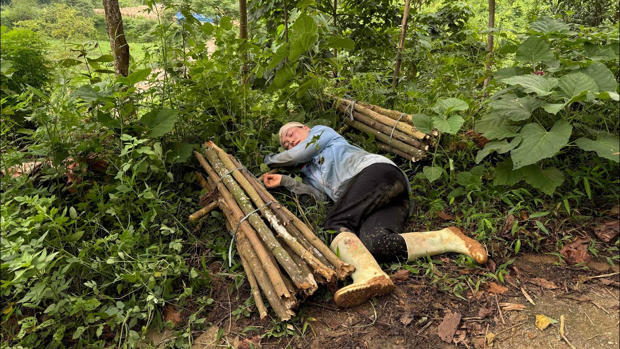 went into the forest to get firewood and lost his daughter and mother ...