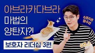 흔들리지 않는 편안함을 위해, '마법의 양탄자'를 만들어주세요! 🐶  | 보호자 리더십 3편 : '매트' 교육 | 설채현 행동학 수의사