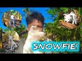 SnowFie! || My Pet!