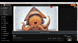 Kansantubeen Striimaaminen